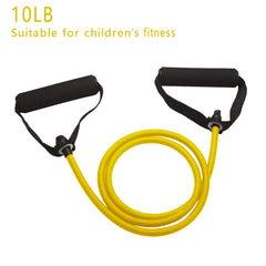 Resistance Bands with Handles for Strength Training & Home Workouts